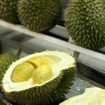 durian delivery