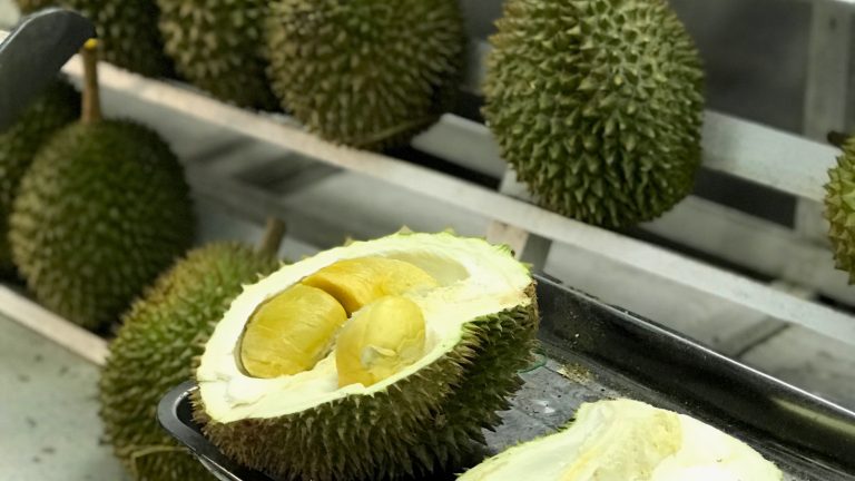 durian delivery