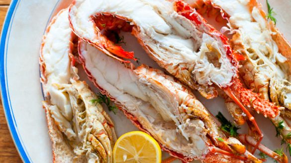 An Overview on the Benefits Of Eating Lobsters