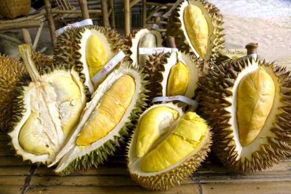 durian shopping